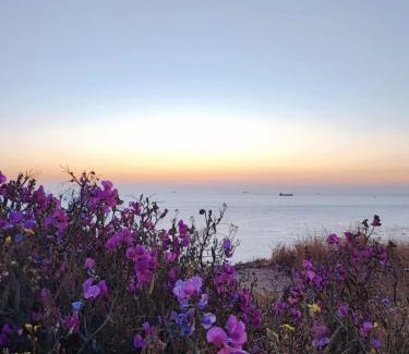 Equihen-Plage Casa | fenêtre sur mer maison vue mer splendide