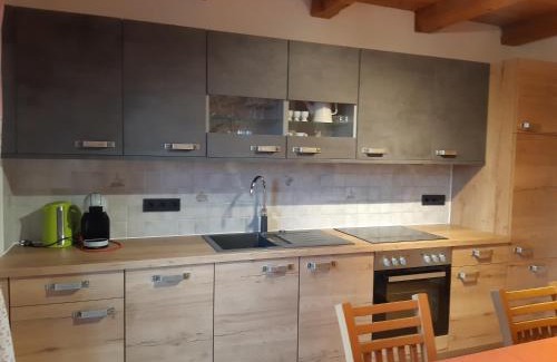 Saalfelden am Steinernen Meer Apartamento | Ferienwohnung Örgenbauer