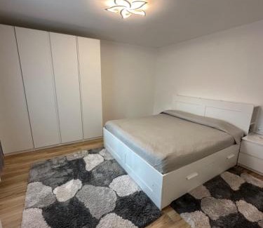 Oberndorf bei Schwanenstadt Apartamento | Ferienwohnung Schwanenstadt
