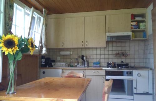 Stechelberg Chalet De Esquí | Ferien Cottage Flüehblüemli
