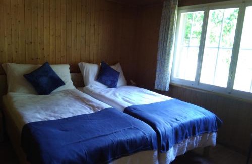 Stechelberg Chalet De Esquí | Ferien Cottage Flüehblüemli