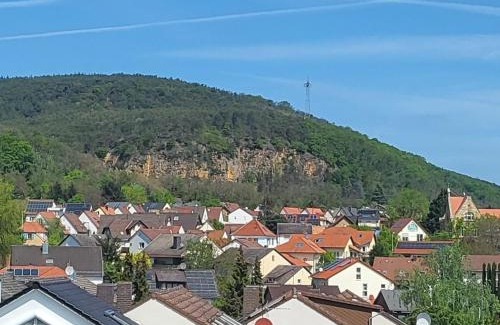 Neustadt-Gimmeldingen Apartamento | Ferienwohnung Buenavista