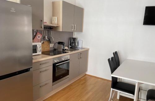Sankt Polten Apartamento | Ferienapartment PASSAUER WOLF im Zentrum, klimatisiert