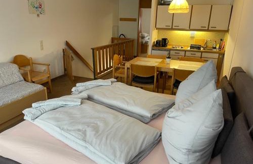 Sankt Englmar Apartamento | Ferienapartment TESLA im Wellnesshotel - Bayerischer Wald