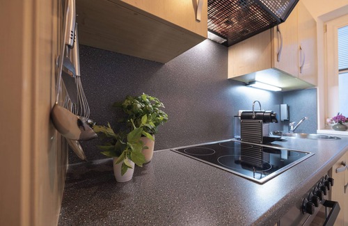 Fieberbrunn Apartamento | Feriendorf-Wallenburg / Alpenrose - Holiday apartment for 2 persons