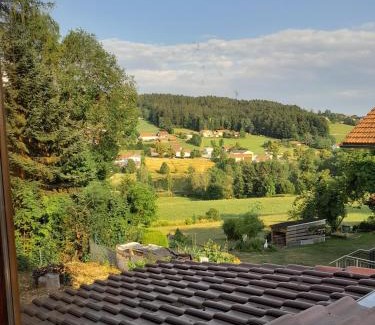 Neuschoenau Casa | Ferienhäuser zum Badeweiher