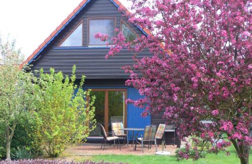 Lembruch Casa | Ferienhaus 3 Köhr-Eickhoff
