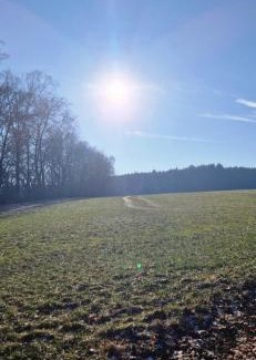 Gonnersdorf Apartamento | Ferienhaus Alex