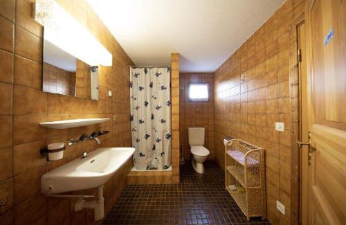 Albula-Alvra Casa | Ferienhaus Alvaneu für Familien
