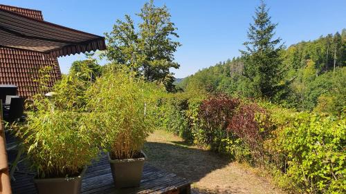 Machtlos Casa | Ferienhaus am Wald