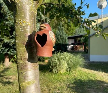 Meisdorf Casa | Ferienhaus an der Selke