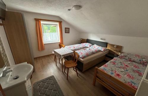 Hollersbach im Pinzgau Casa | Ferienhaus Dankl
