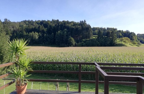 Kirchberg an der Raab Casa | Ferienhaus Am Bach