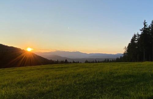 Frauenstein Casa | FERIENHAUS WALDTRAUM