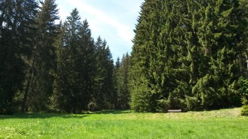 Grossbreitenbach Casa | Ferienhaus Bad Hundertpfund Typ C