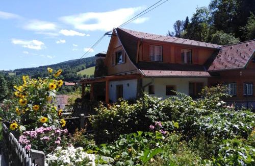 Trattenbach Apartamento | Ferienhaus Bauer