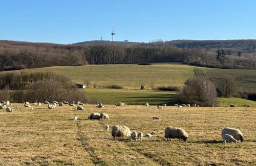 Luegde Apartamento | Ferienhaus – Bergblick am Köterberg