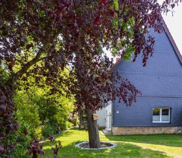 Ellrich Casa | Ferienhaus Big Family