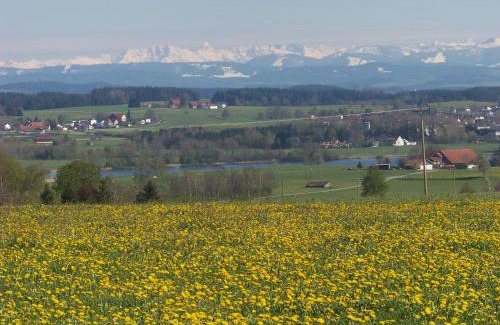 Immenried Casa | Ferienhaus Brunnenweiher
