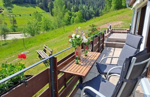 Gompelscheuer Apartamento | Ferienhaus Enzquelle