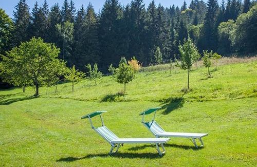Hinterzarten Apartamento | Ferienhaus Esche