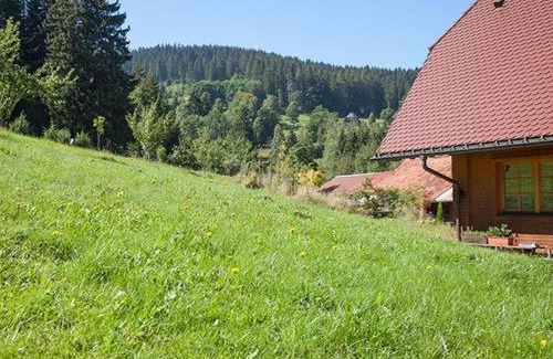Hinterzarten Apartamento | Ferienhaus Esche