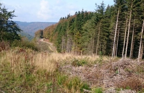 Silbach Casa | Ferienhaus für 14 Gäste mit 200m² in Winterberg-silbach