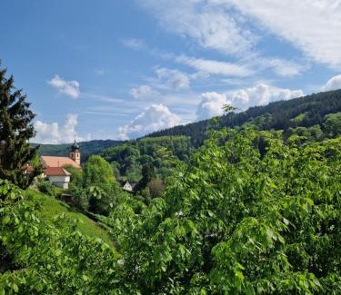 Heiligkreuzsteinach Casa | Ferienhaus Heinz
