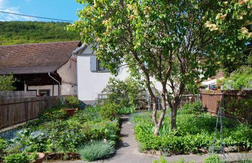 Badenweiler Casa | Ferienhaus Hildahüsli