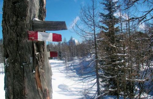 Sankt Pankraz Casa | Ferienhaus Hirschnest