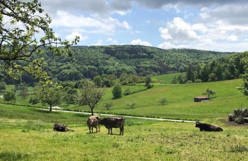 Modautal Apartamento | Ferienhaus im Odenwald