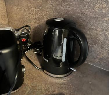 Lobervorstadt Apartamento | Ferienhaus in Erfurt-gemütlich-sonnig-Küche-Bad-Garten-Parken-Pool-Sauna-WLAN-CaroGrün