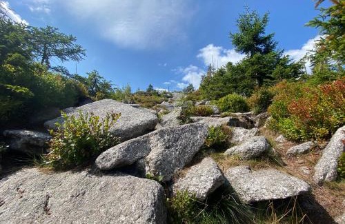 Klaffer am Hochficht Casa | Ferienhaus Lebenskraft