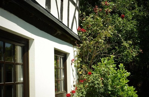 Gemunden Apartamento | Ferienhaus Mühlenglück am Holzbach - Holiday home, 3 bedrooms, shower or bath,