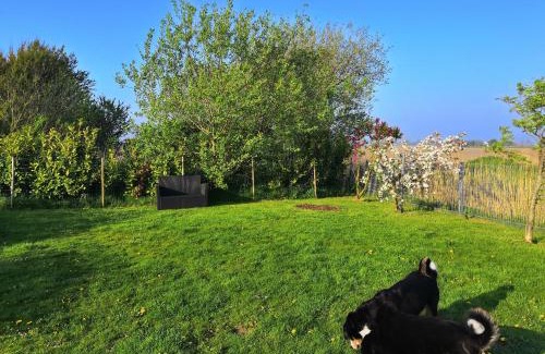 Friedrichskoog Casa | Ferienhaus Mia, Urlaub mit Hund, eingezäunter Garten, Friedrichskoog-Spitze