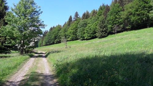 Rotterode Casa | Ferienhaus Moosbachtal Thüringer Wald bei Oberhof
