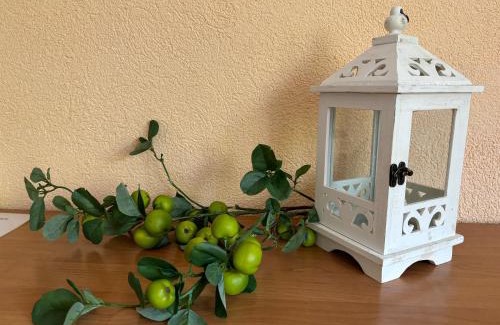Hammerunterwiesenthal Casa | Ferienhaus Reichel
