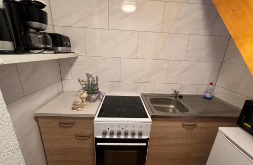 Hammerunterwiesenthal Casa | Ferienhaus Reichel