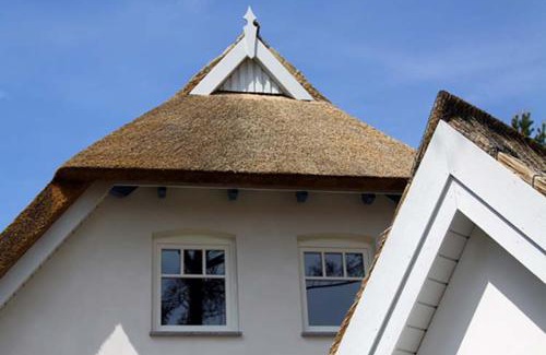 Trassenheide Casa | Ferienhaus Rubin mit Sauna und Kamin, Reetdachhaus am Walde
