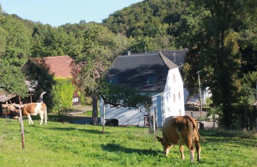 Strohn Casa | Ferienhaus Sprink Vulkaneifel