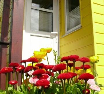 Visselhoevede Casa | Ferienhaus Tiny Löwenzahn