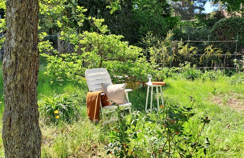 Oberhavel Cabaña | Ferienhaus Waldmeister, Direkt am Wald und 400m zum See