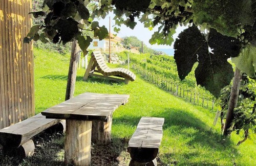 Tieschen Apartamento | Ferienhaus- Weinhof, Pachler Margret - Ferienwohnung