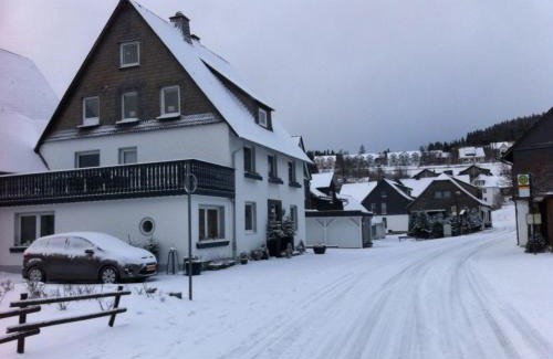 Neuastenberg Casa | Ferienhaus Winterberg Lodge