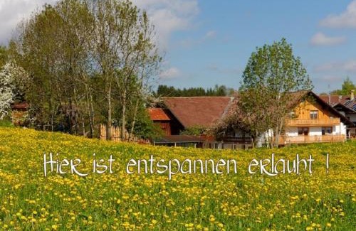 Heitlern Apartamento | Ferienhof Am Holderbusch