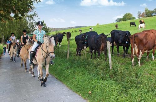 Holthausen Apartamento | Ferienhof Belke-Spork