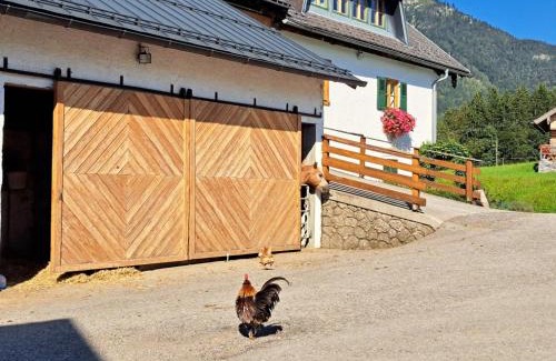 Sankt Wolfgang im Salzkammergut Chalet De Esquí | Ferienhof Brunbacher Wolfgangsee