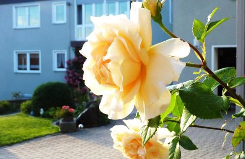 Stammbach Casa | Ferienhof Obertennersreuth