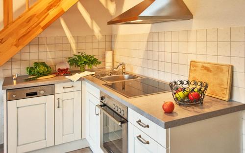 Frohnd Apartamento | Ferienhof Wuchner - Fewo "Wintertraum"