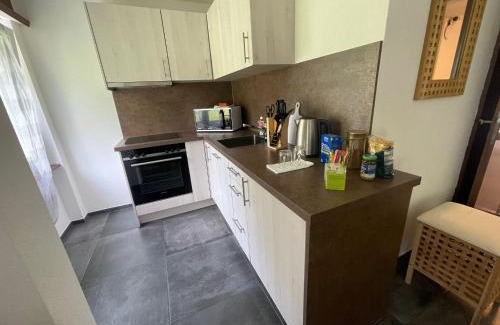 Wassen Apartamento | Ferienregion Andermatt - Studio in Wassen